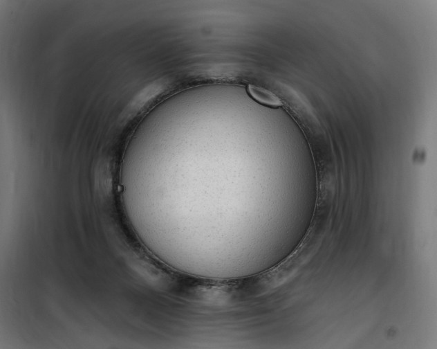 X0000100500120200806201724