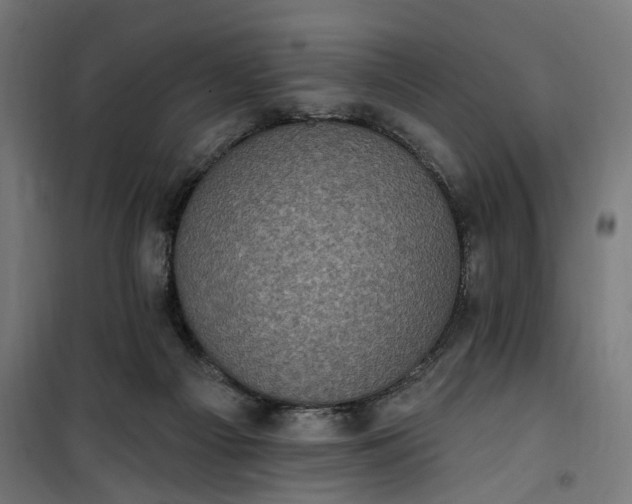 X0000100500121200806201724