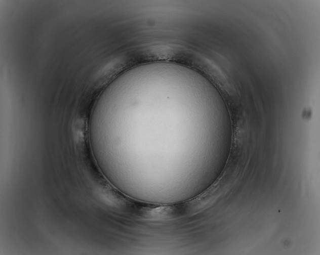 X0000100500122200806201724