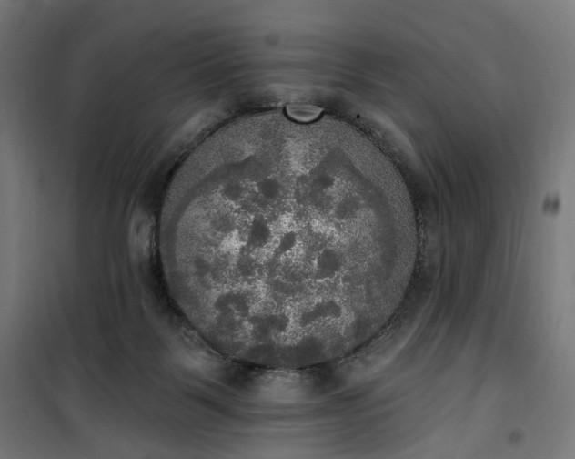 X0000100500123200806201724