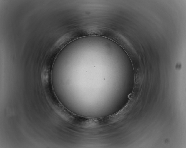 X0000100500124200806201724