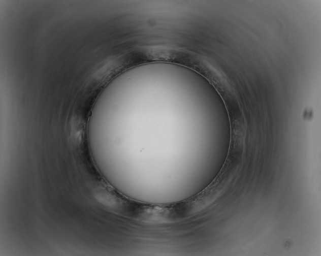 X0000100500125200806201724