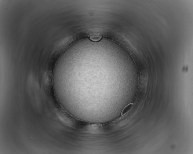 X0000100500126200806201724