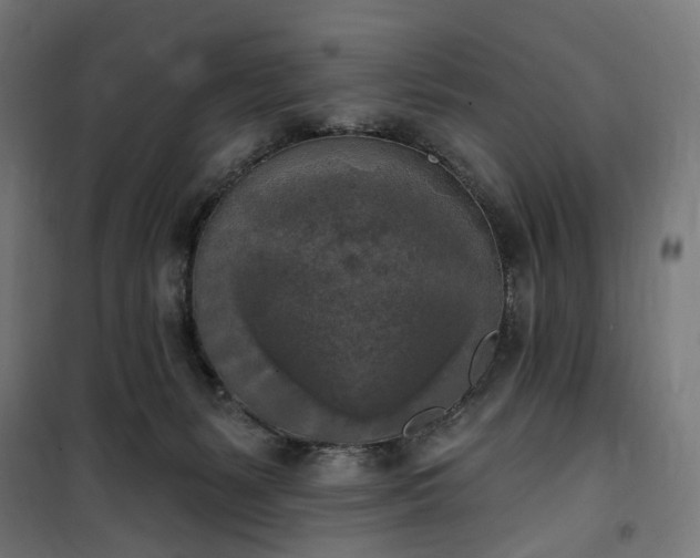 X0000100500127200806201724