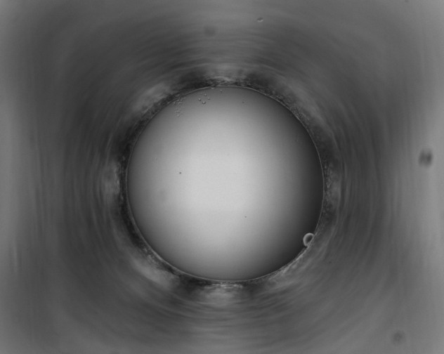 X0000100500128200806201724