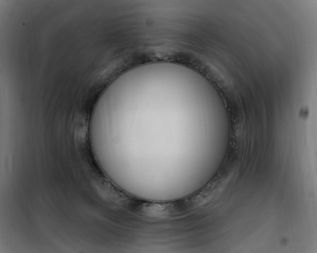 X0000100500129200806201724