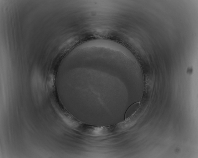 X0000100500130200806201724