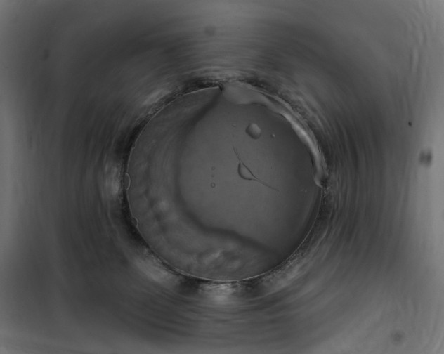 X0000100500131200806201724