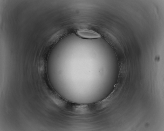 X0000100500132200806201724