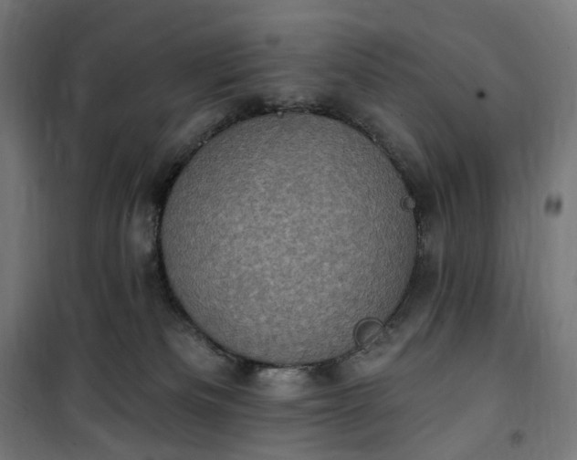 X0000100500133200806201723