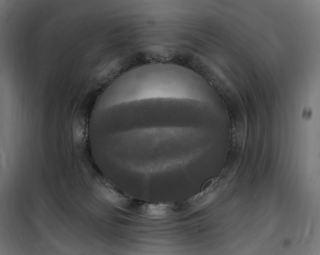 X0000100500134200806201723