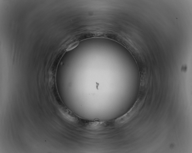 X0000100500136200806201723