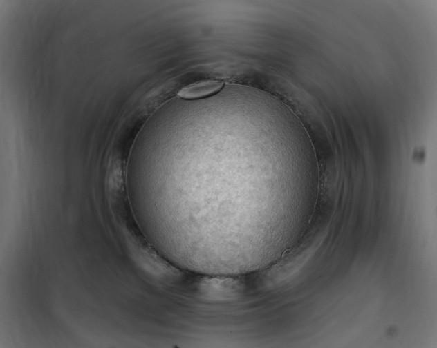 X0000100500137200806201723