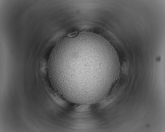 X0000100500138200806201723