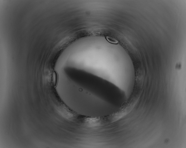 X0000100500139200806201723