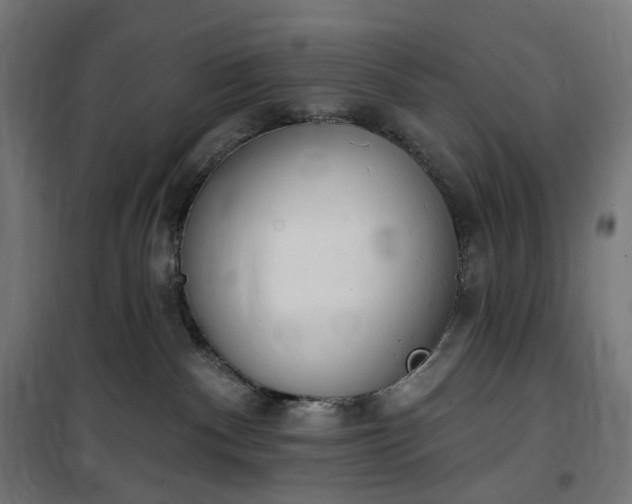 X0000100500140200806201723