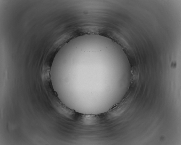 X0000100500141200806201723