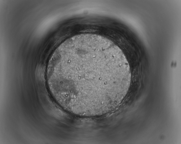 X0000100500146200806201723