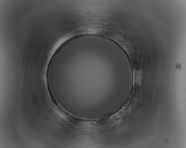 X0000100500147200806201723