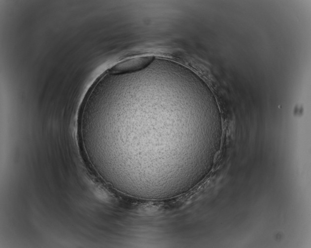 X0000100500148200806201723