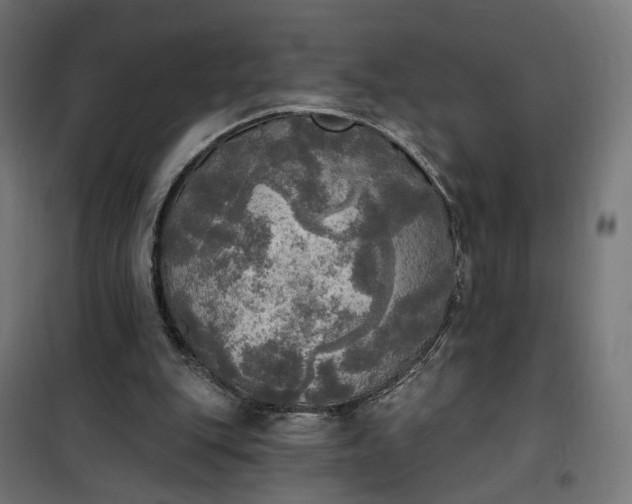 X0000100500151200806201723