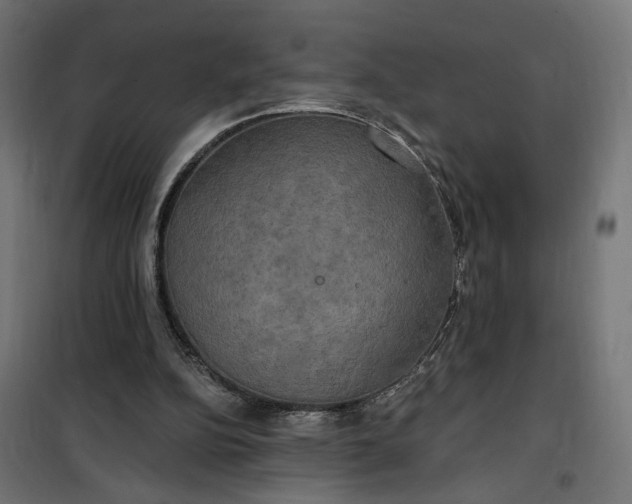 X0000100500152200806201723