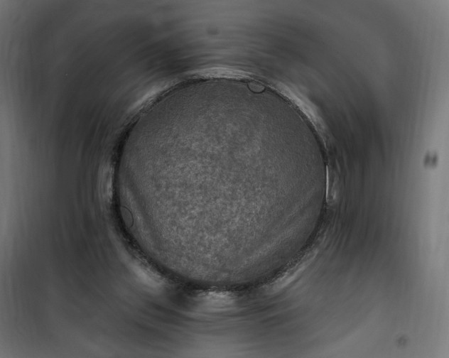 X0000100500157200806201723