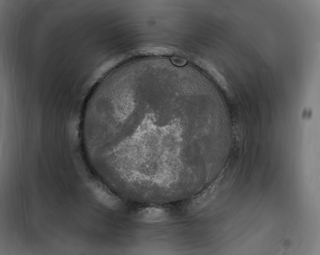 X0000100500159200806201723