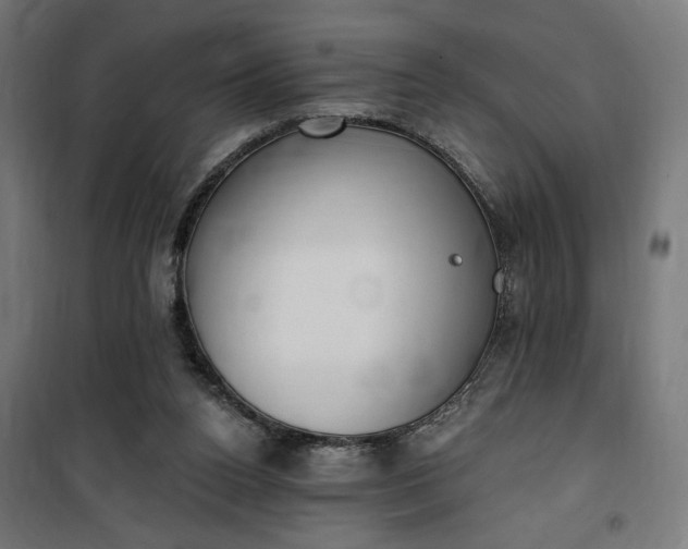 X0000100500160200806201723