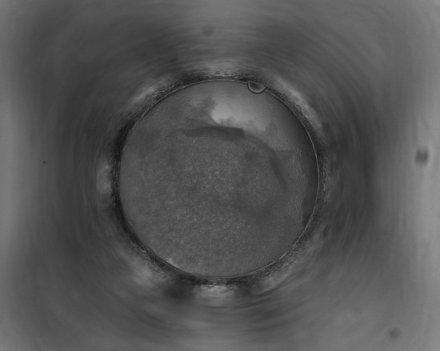 X0000100500161200806201723