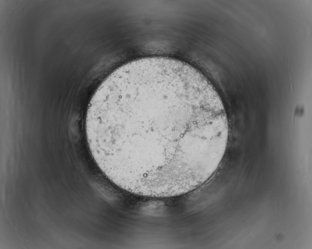 X0000100500162200806201723