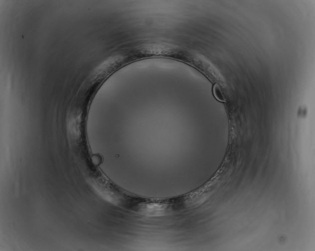 X0000100500163200806201723