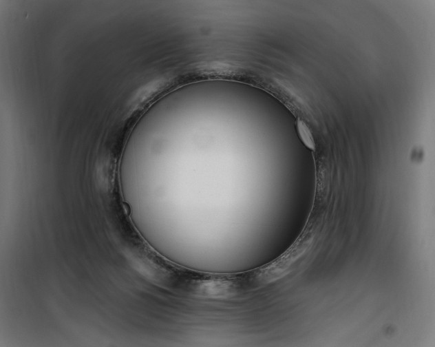 X0000100500168200806201723