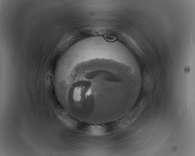 X0000100500169200806201723