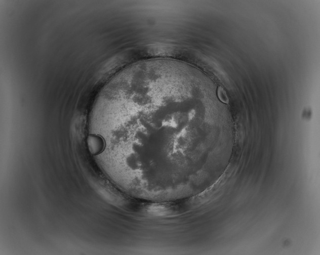 X0000100500171200806201723