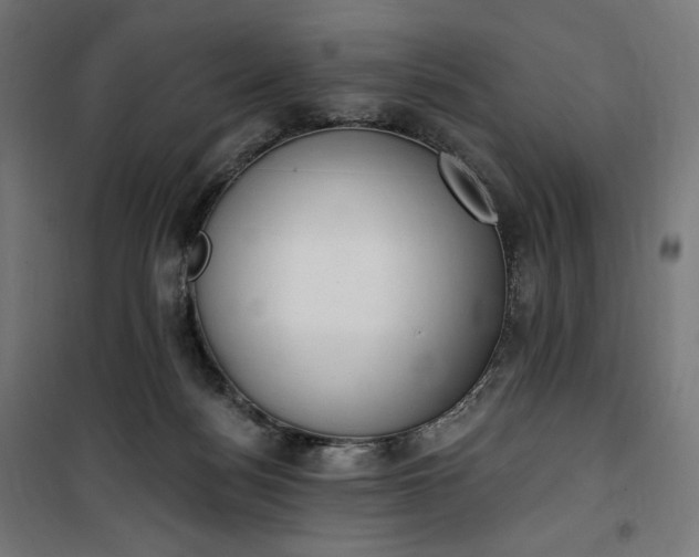 X0000100500172200806201723