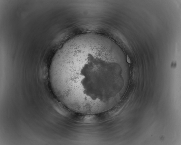 X0000100500173200806201723