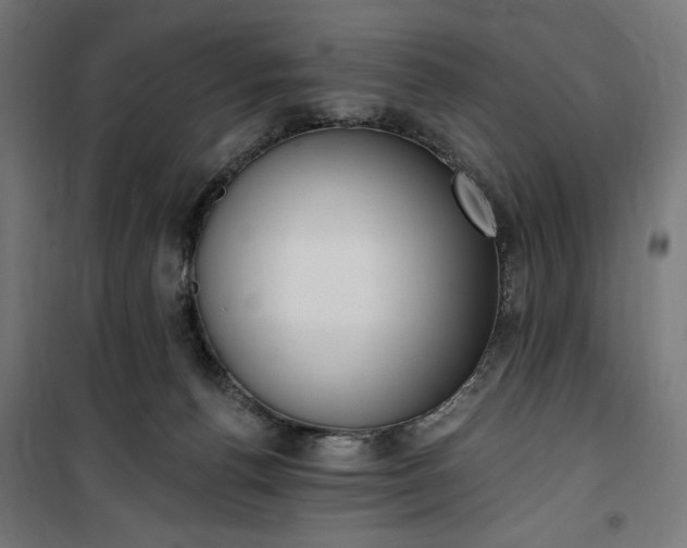 X0000100500176200806201723