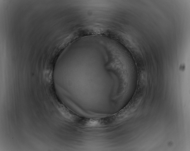 X0000100500177200806201723