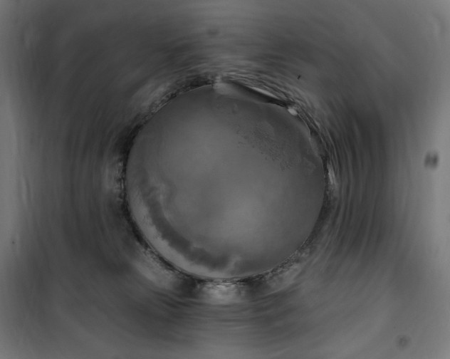 X0000100500181200806201723