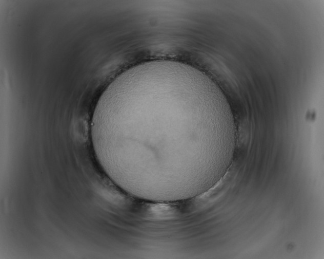 X0000100500183200806201723