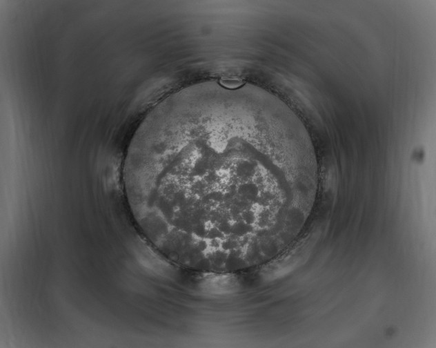 X0000100500185200806201723