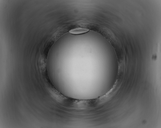 X0000100500186200806201723