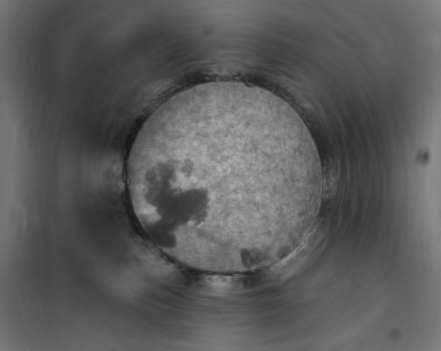 X0000100500187200806201723