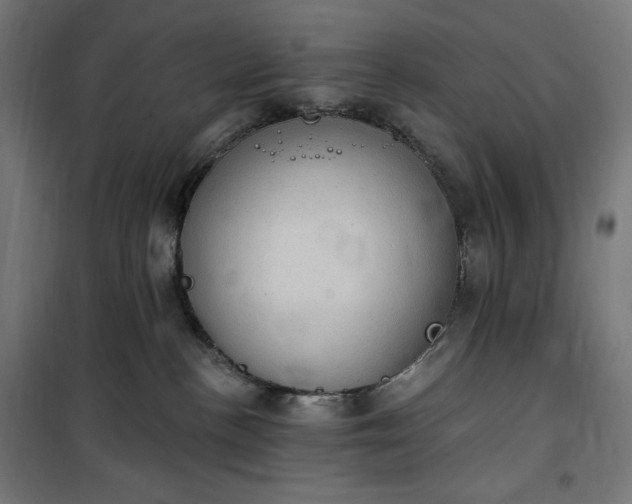 X0000100500188200806201723