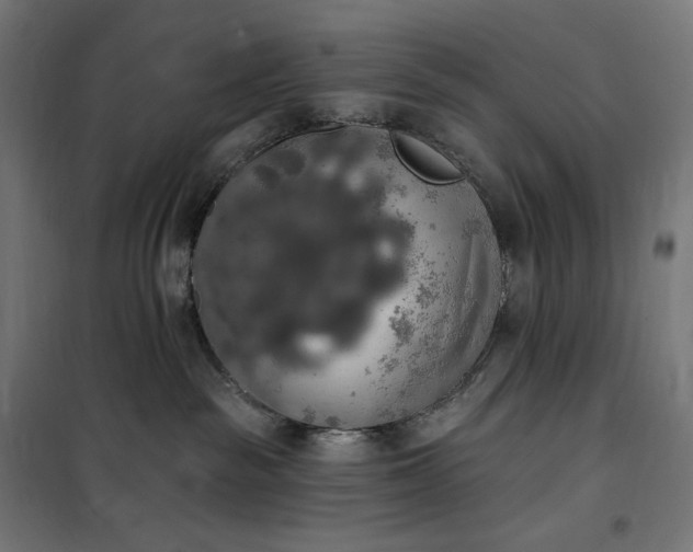 X0000100500189200806201723