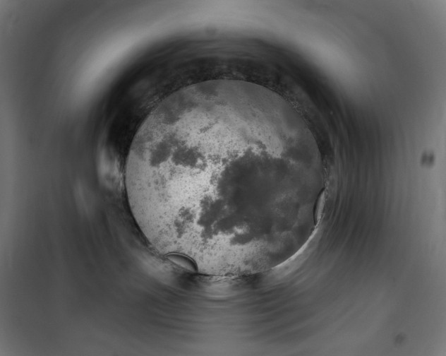 X0000100500191200806201723