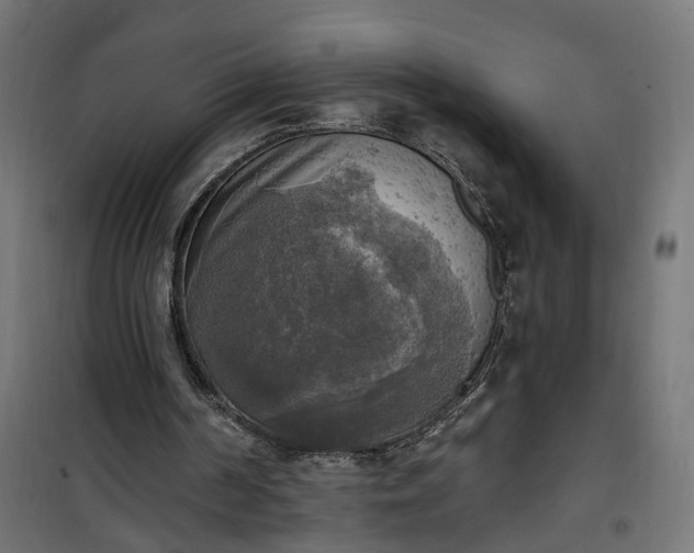 X0000100500194200806201723