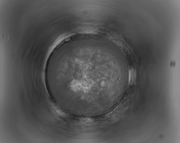 X0000100500195200806201723