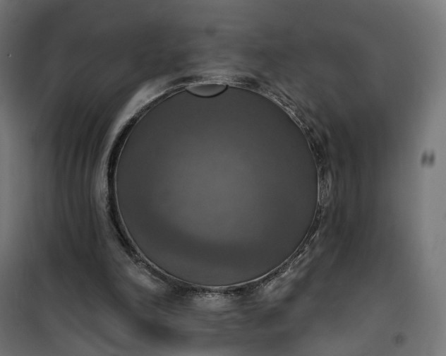 X0000100500198200806201723